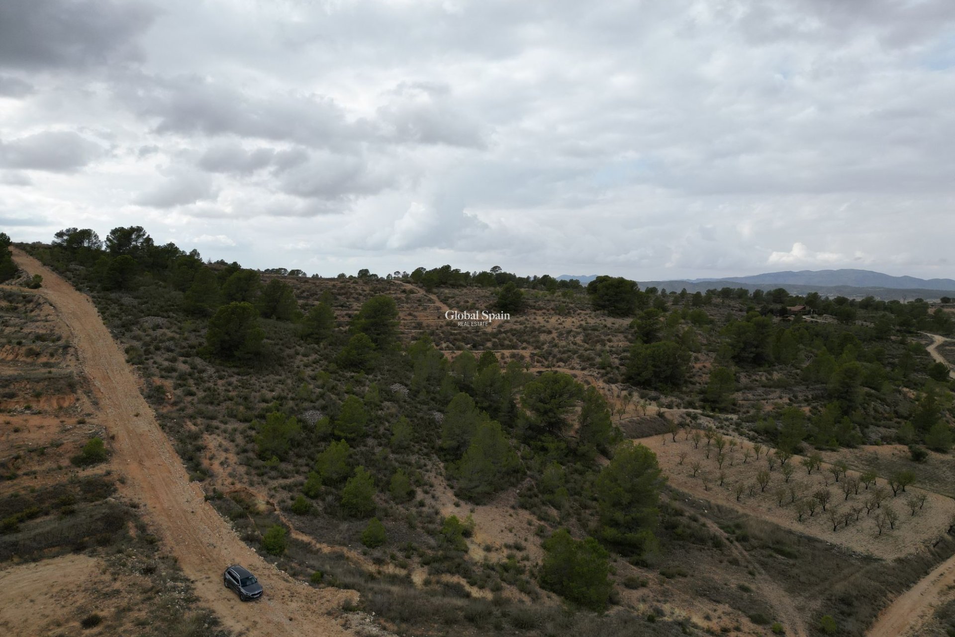 Venta - Tierra -
La Zarza