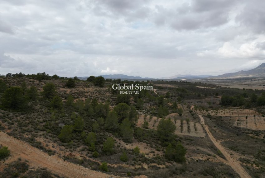 Venta - Tierra -
La Zarza