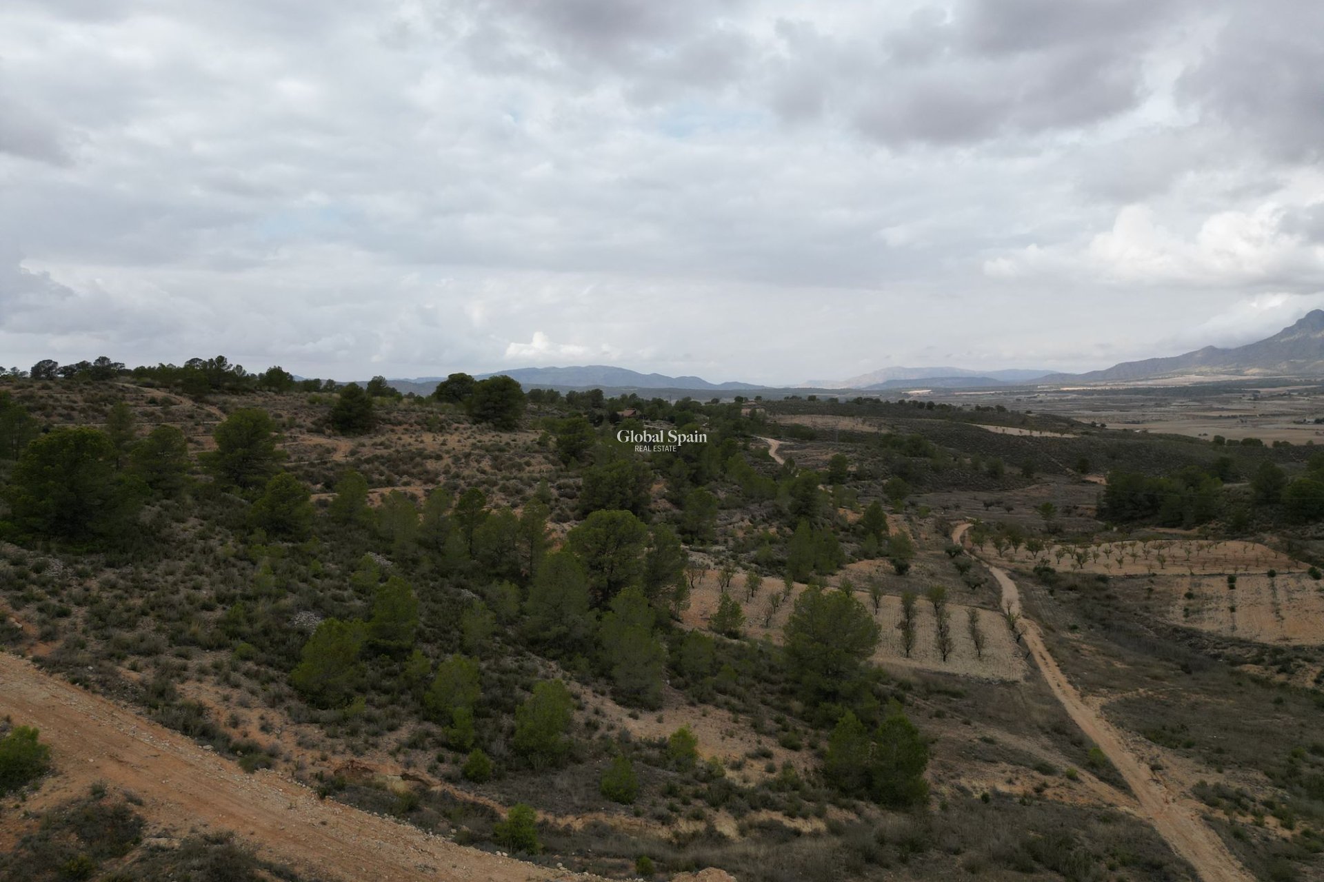 Venta - Tierra -
La Zarza