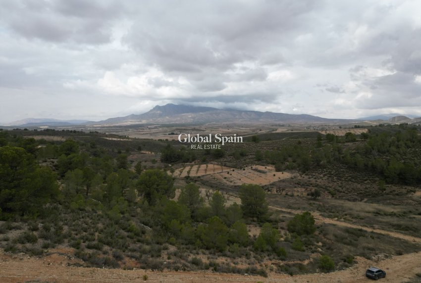 Venta - Tierra -
La Zarza