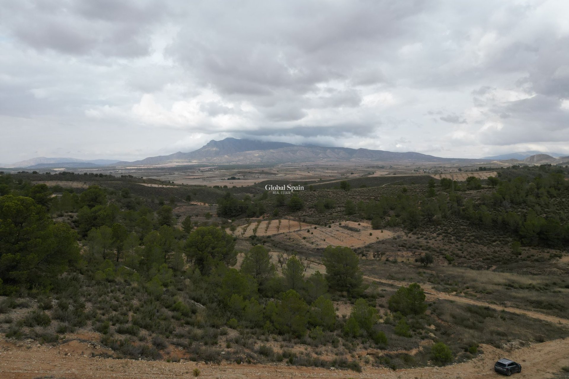 Venta - Tierra -
La Zarza