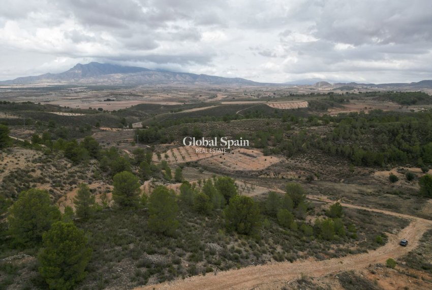 Venta - Tierra -
La Zarza