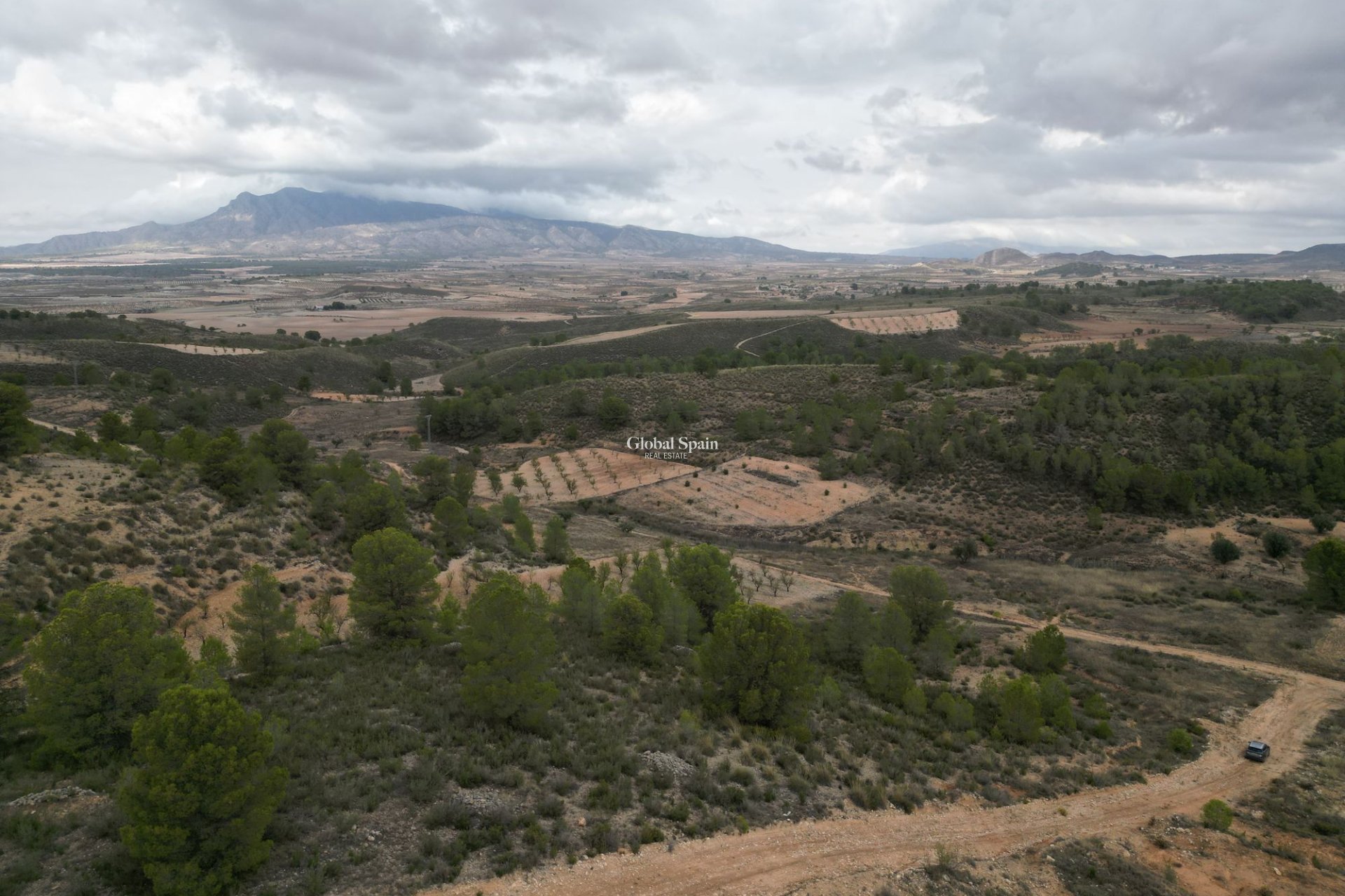 Venta - Tierra -
La Zarza