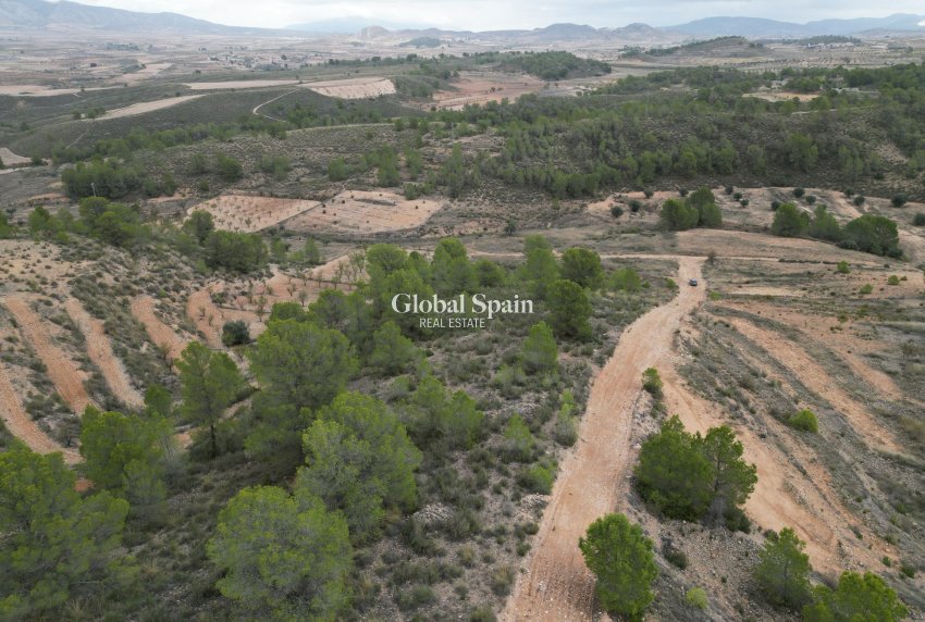 Venta - Tierra -
La Zarza