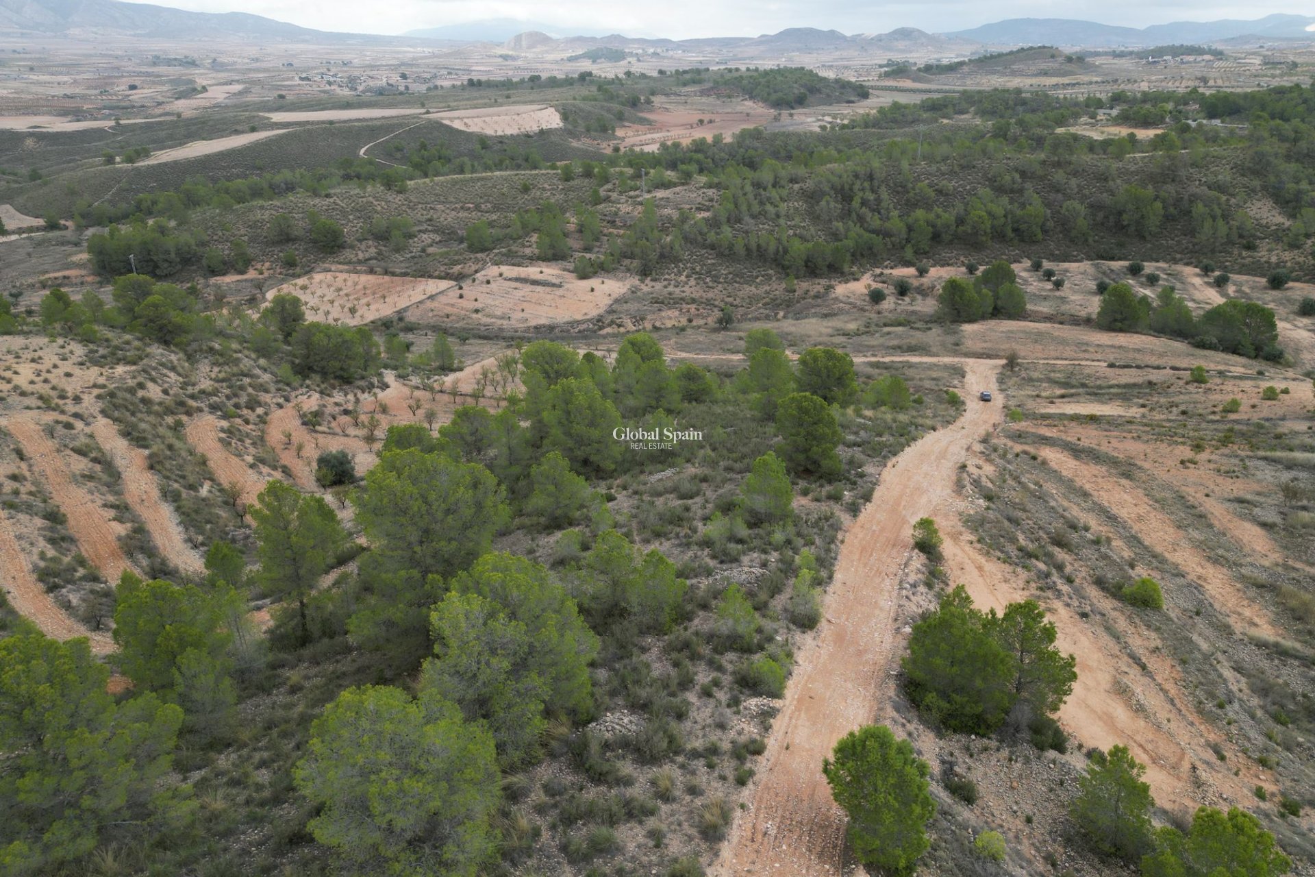 Venta - Tierra -
La Zarza