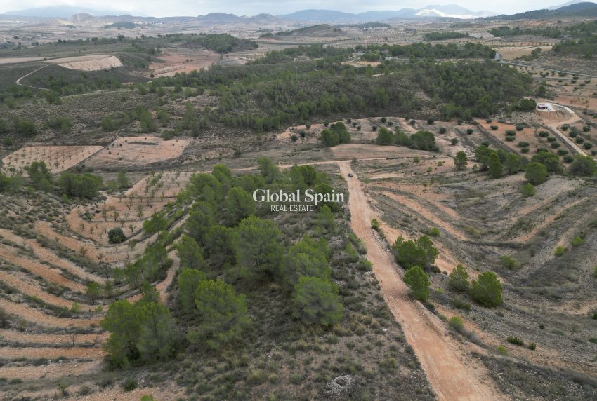 Venta - Tierra -
La Zarza