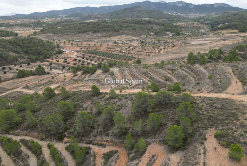 Venta - Tierra -
La Zarza