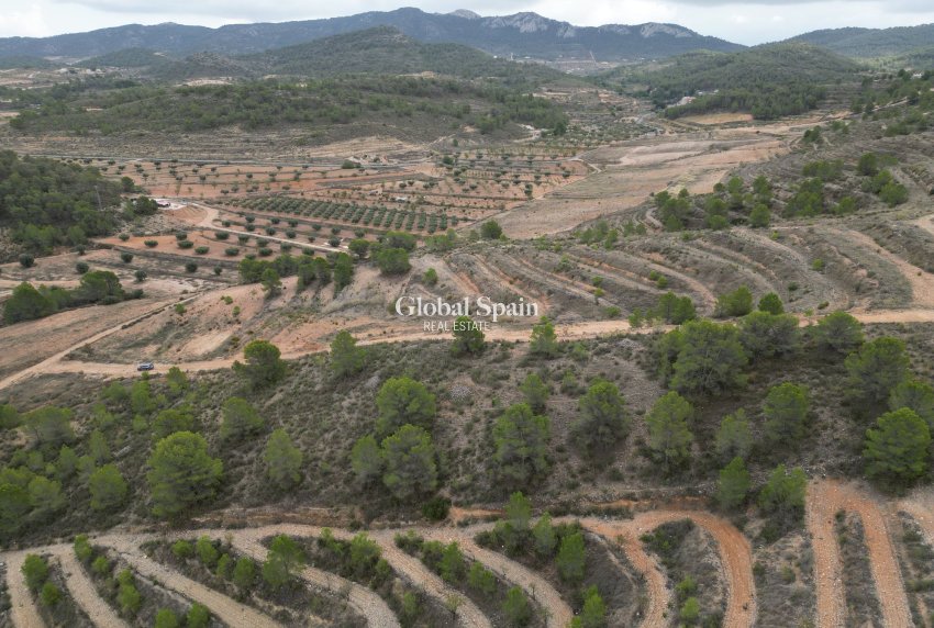 Venta - Tierra -
La Zarza