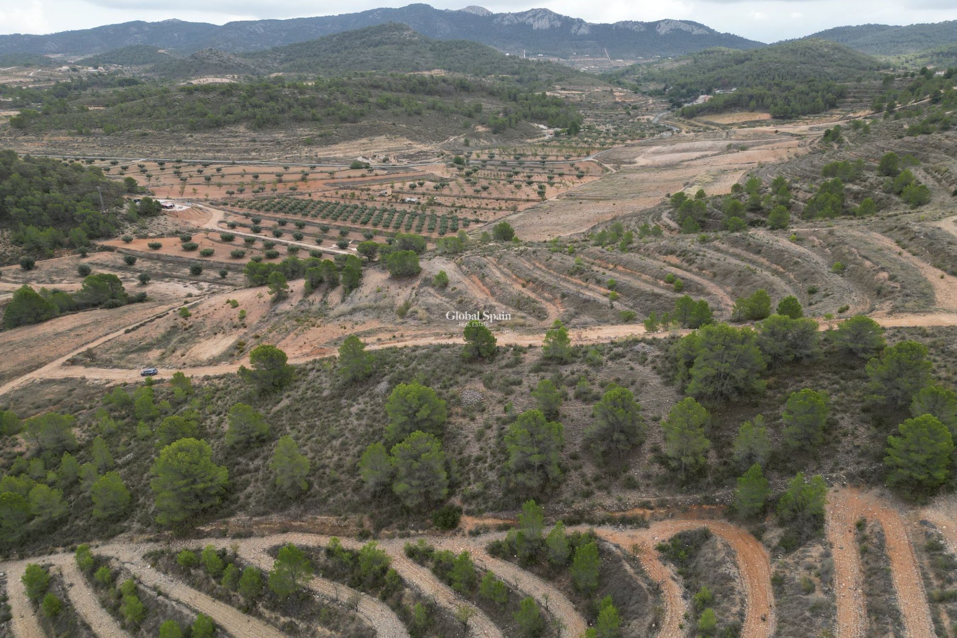 Venta - Tierra -
La Zarza