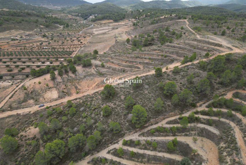 Venta - Tierra -
La Zarza