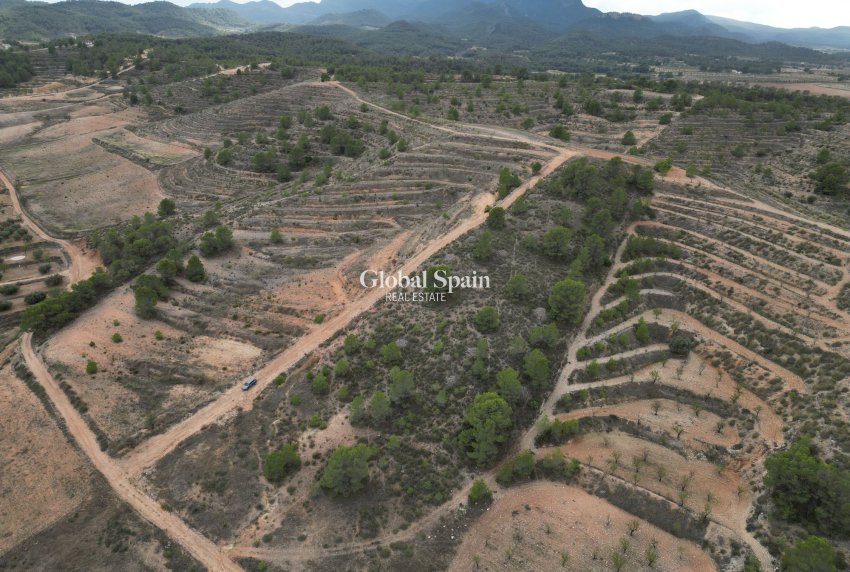 Venta - Tierra -
La Zarza