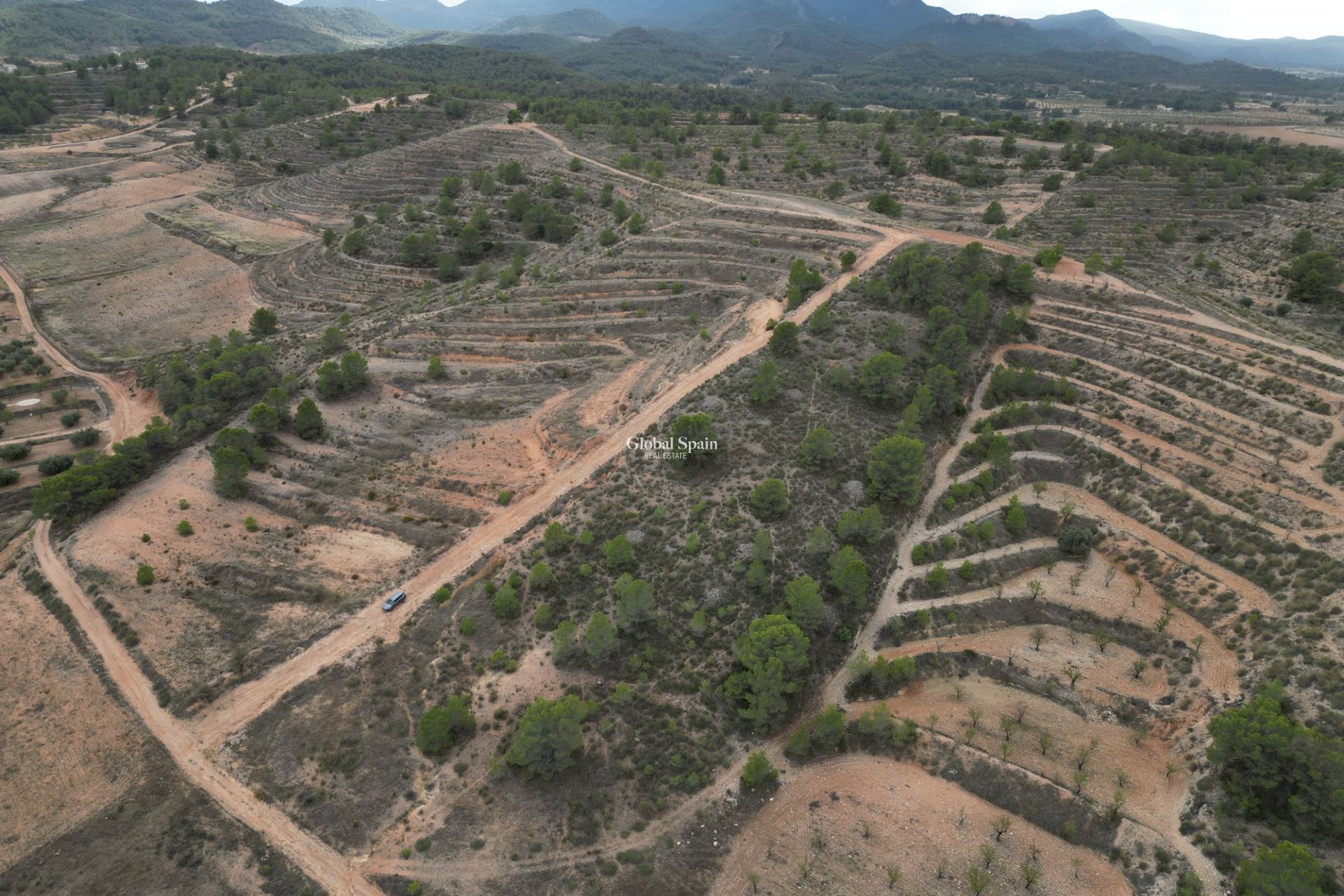 Venta - Tierra -
La Zarza