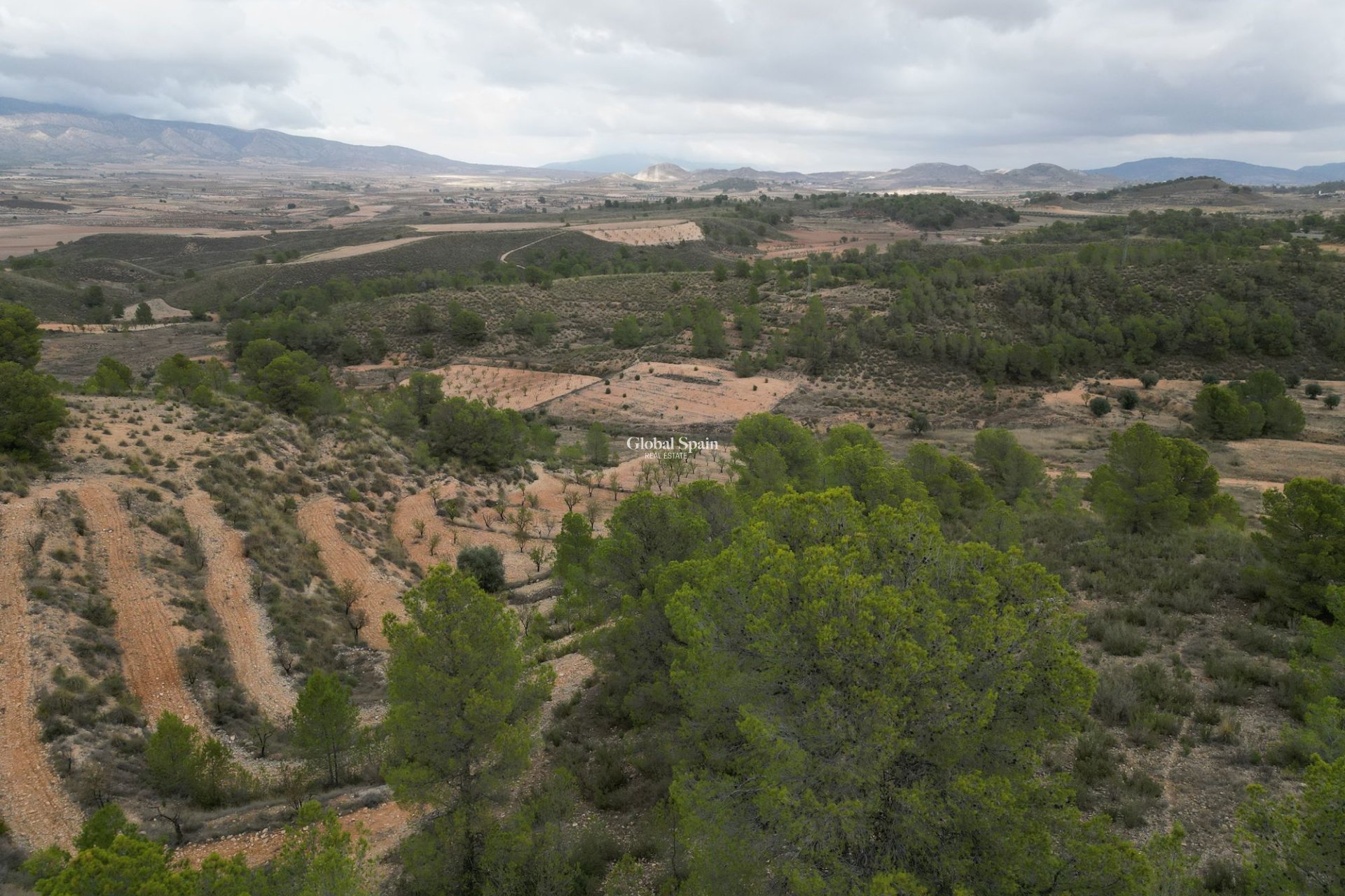 Venta - Tierra -
La Zarza