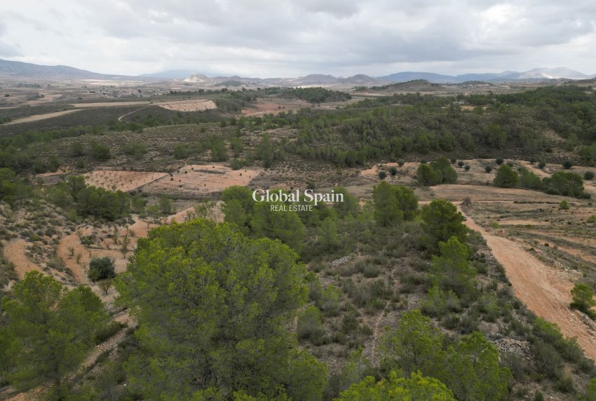 Venta - Tierra -
La Zarza