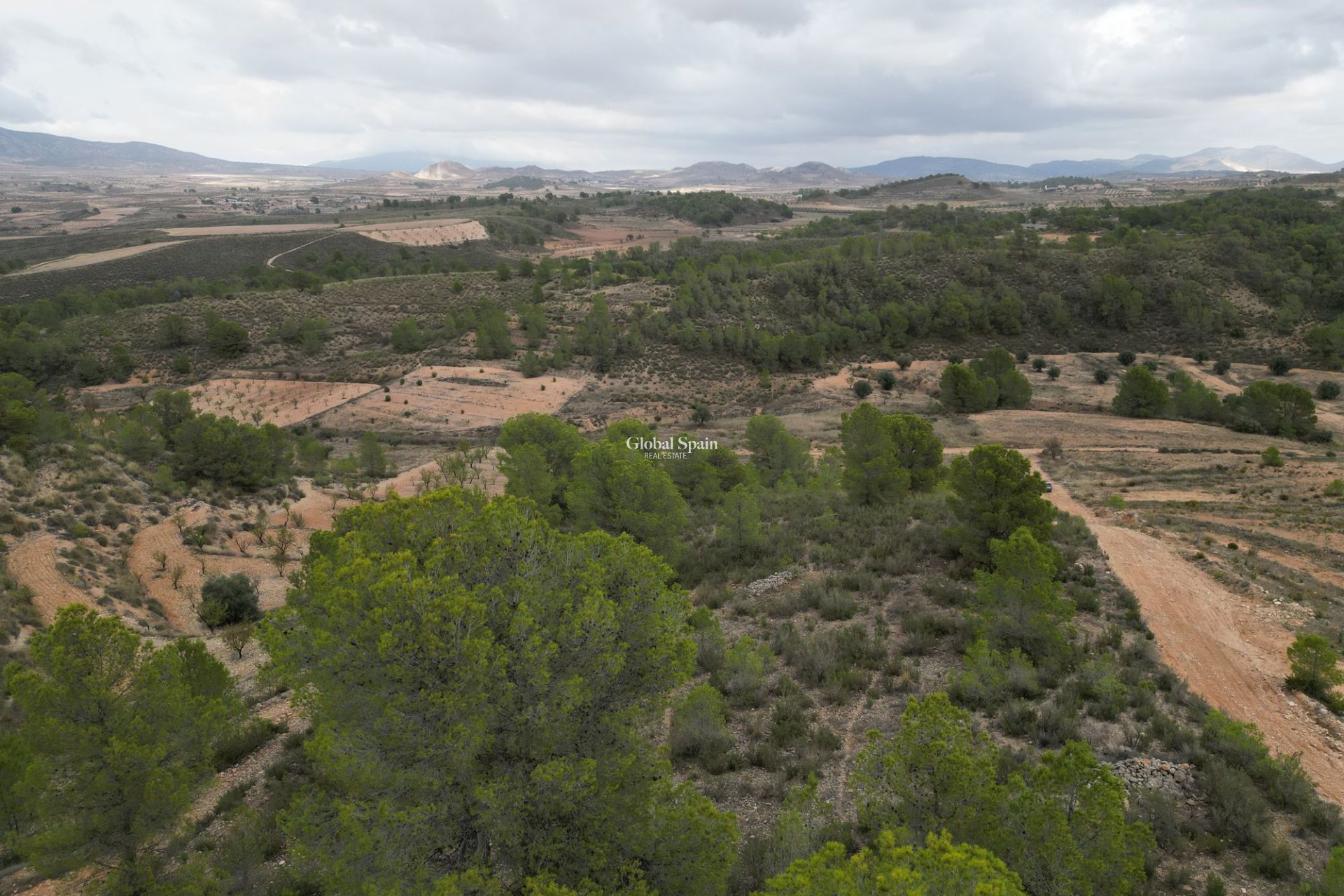 Venta - Tierra -
La Zarza