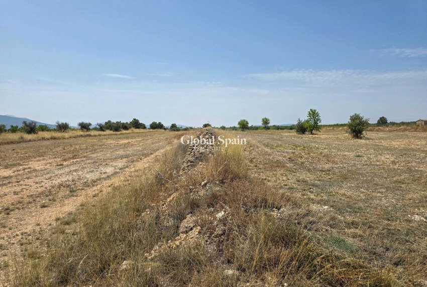 Venta - Tierra -
Pinoso