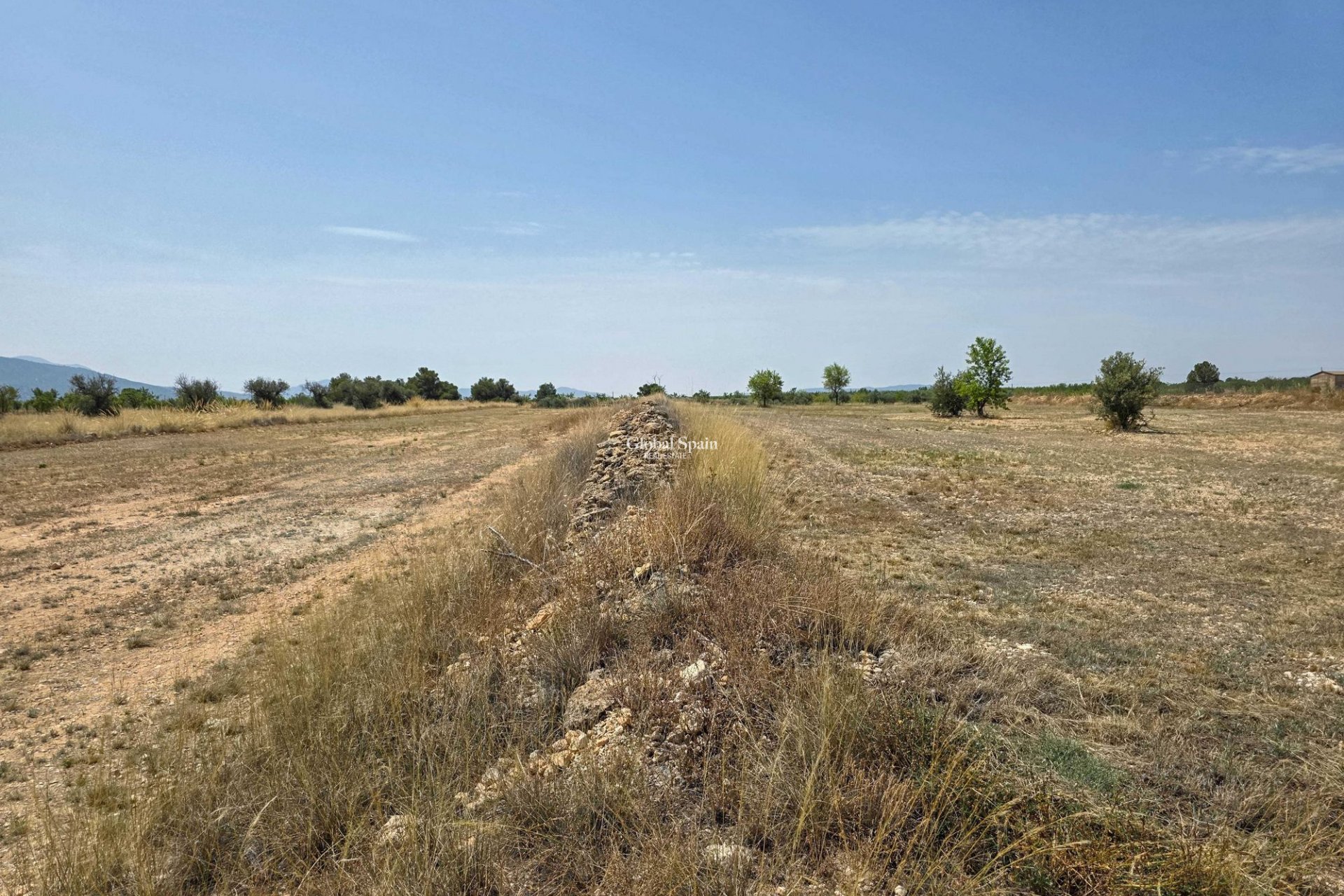 Venta - Tierra -
Pinoso