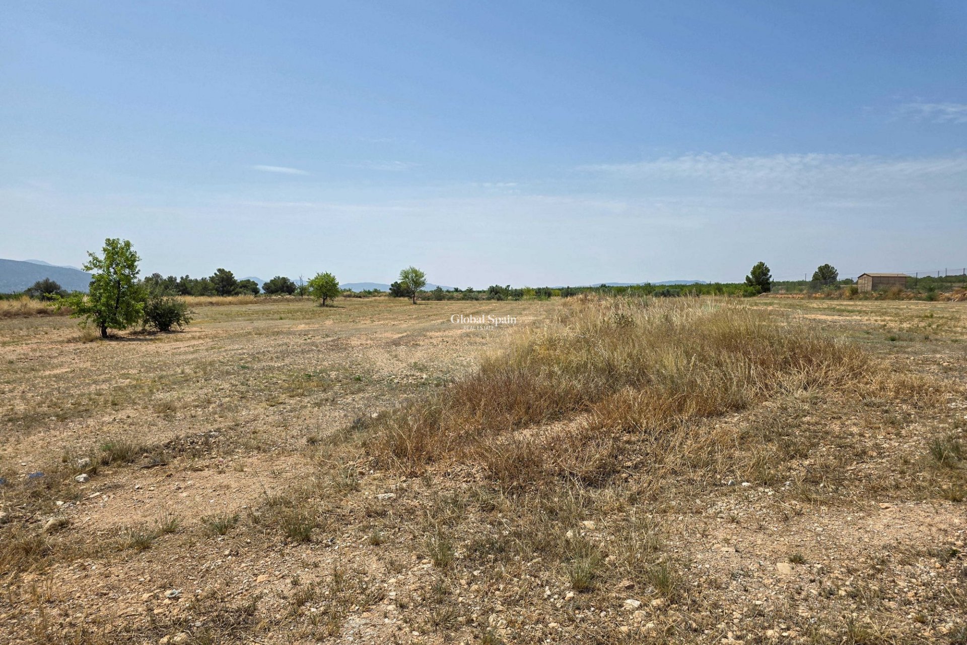 Venta - Tierra -
Pinoso