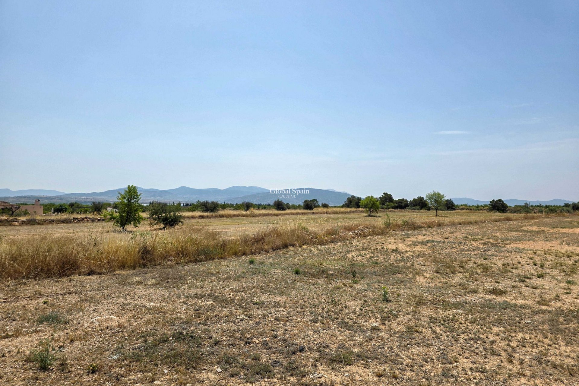 Venta - Tierra -
Pinoso