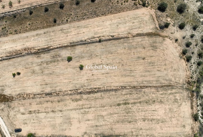 Venta - Tierra -
Pinoso