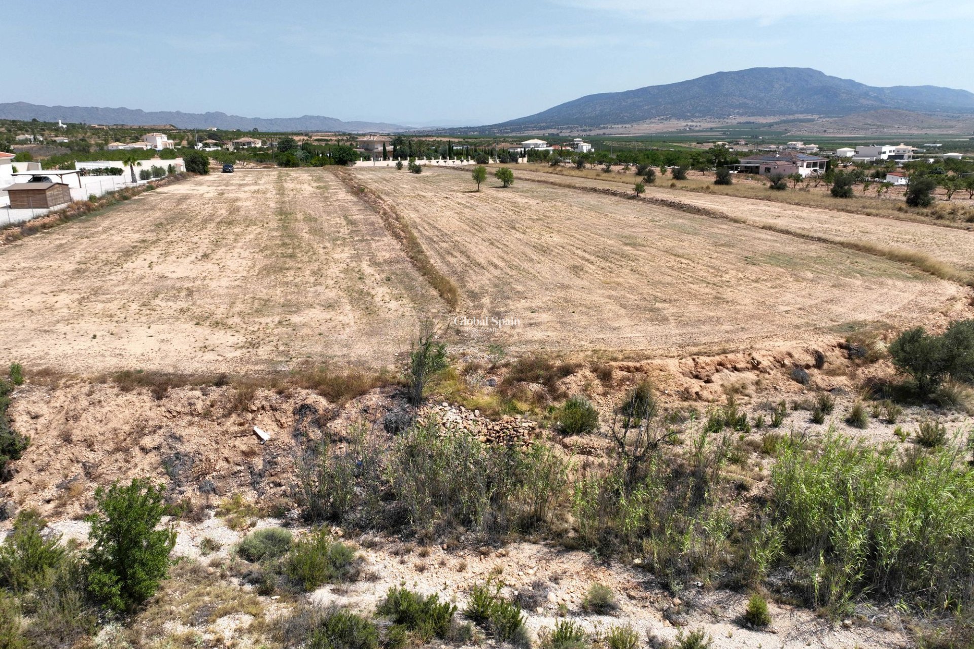 Venta - Tierra -
Pinoso