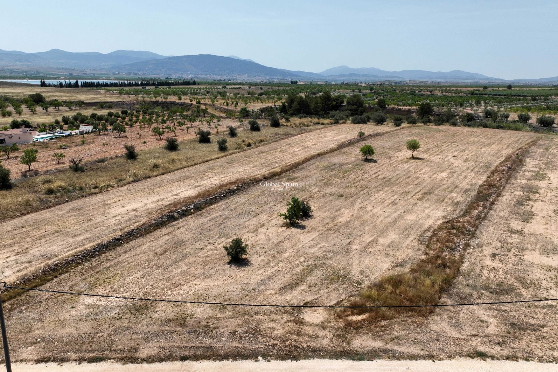 Venta - Tierra -
Pinoso