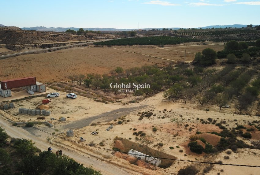Venta - Tierra -
Torremendo - Torremendo - Country