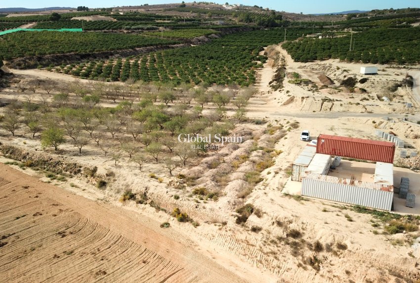 Venta - Tierra -
Torremendo - Torremendo - Country