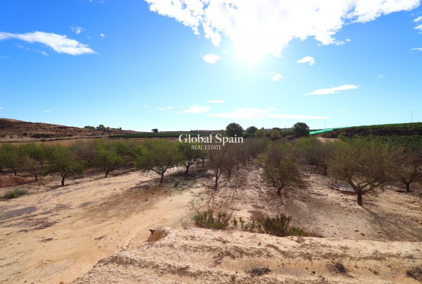 Venta - Tierra -
Torremendo - Torremendo - Country