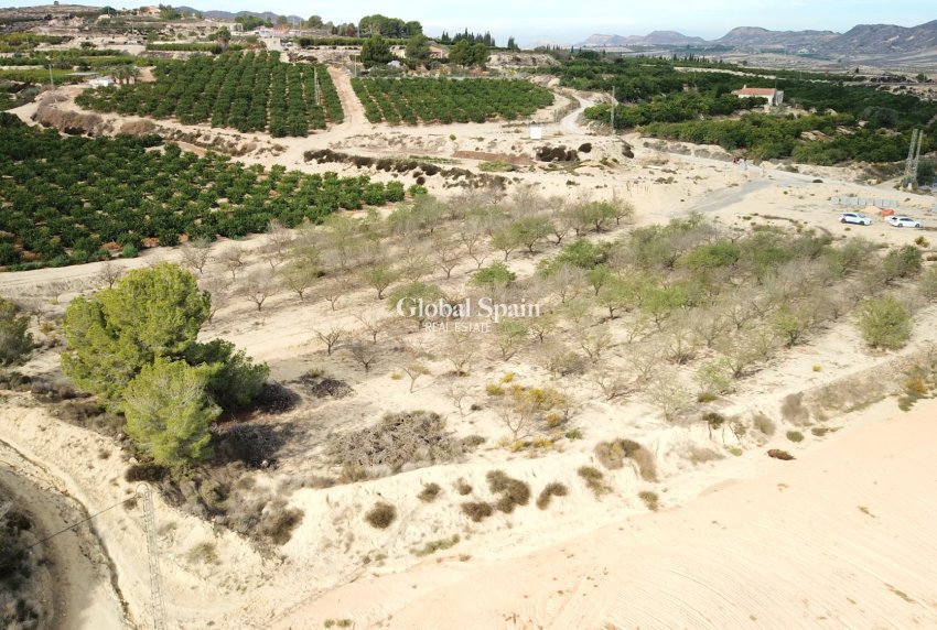 Venta - Tierra -
Torremendo - Torremendo - Country