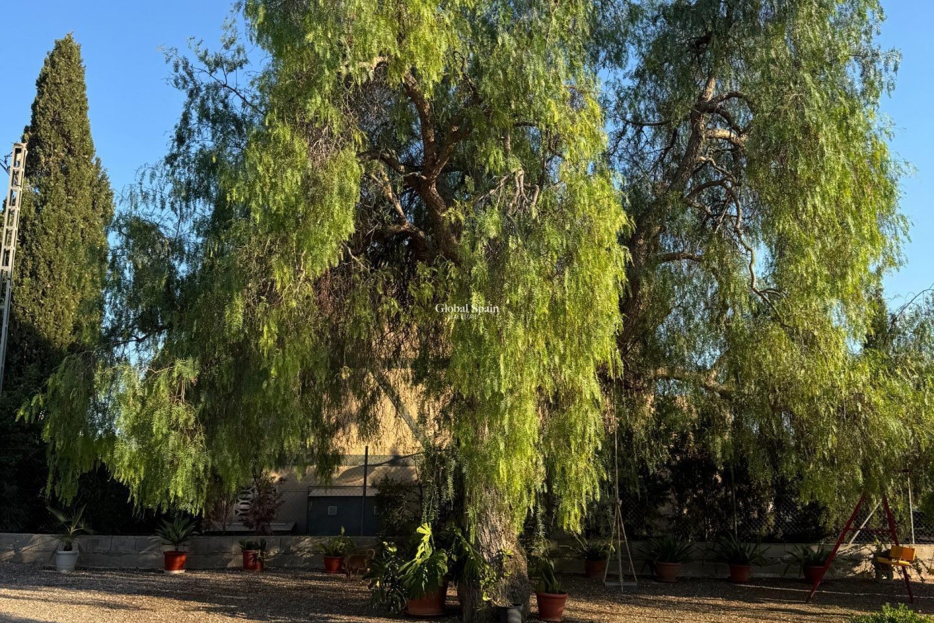 Venta - VILLA -
ALBATERA - Partida Lomas