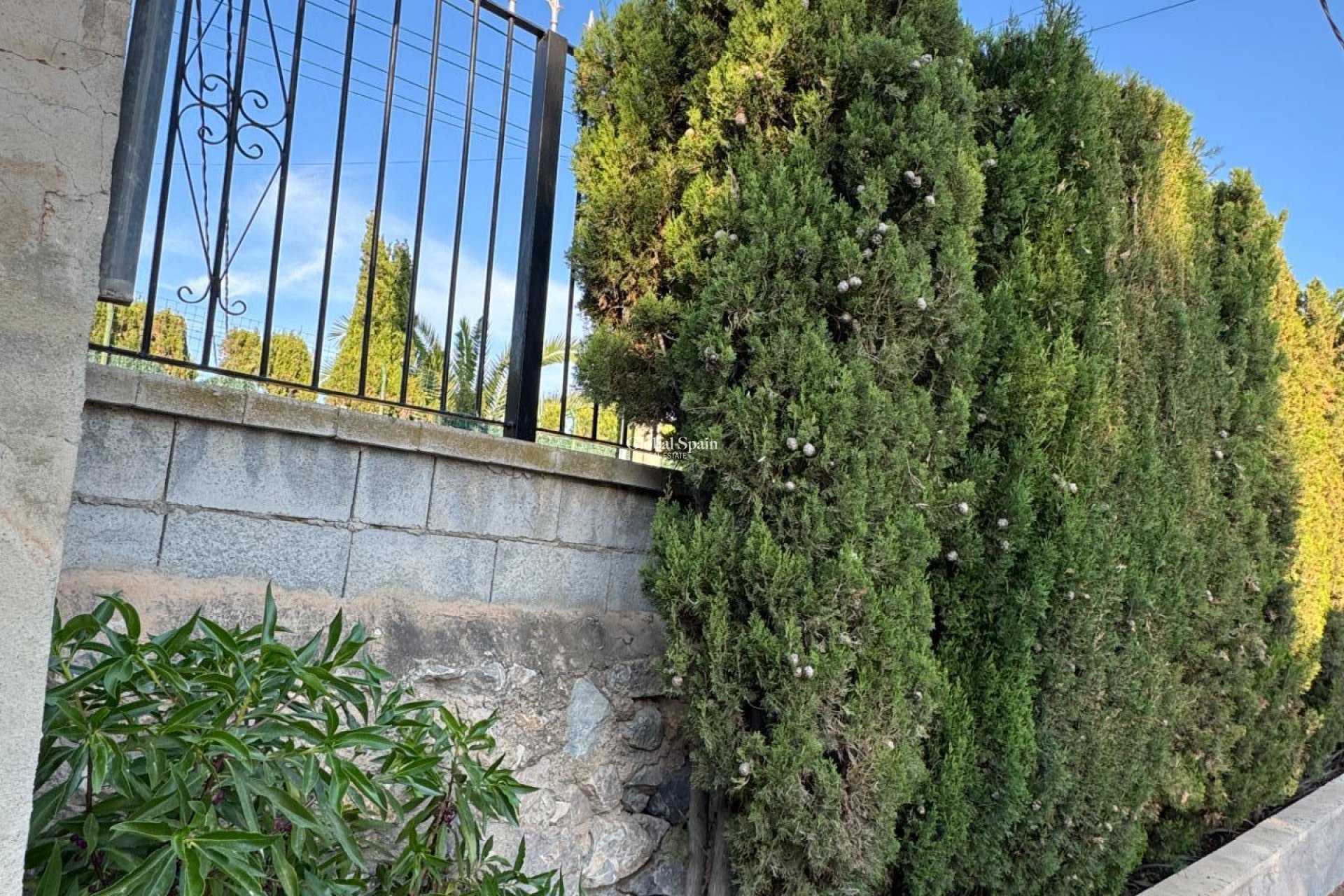 Venta - VILLA -
ALBATERA - Partida Lomas