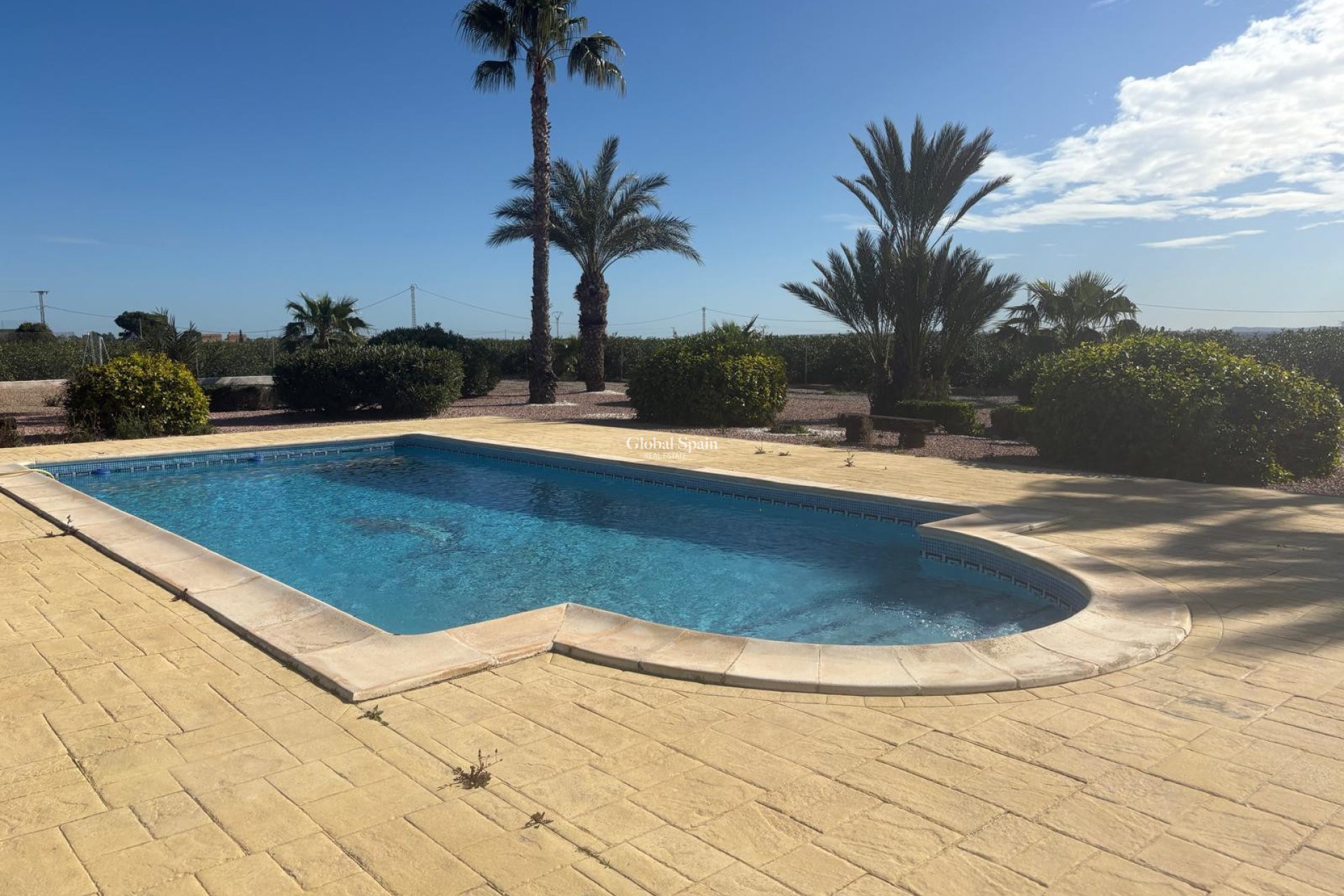 Venta - VILLA -
ALBATERA