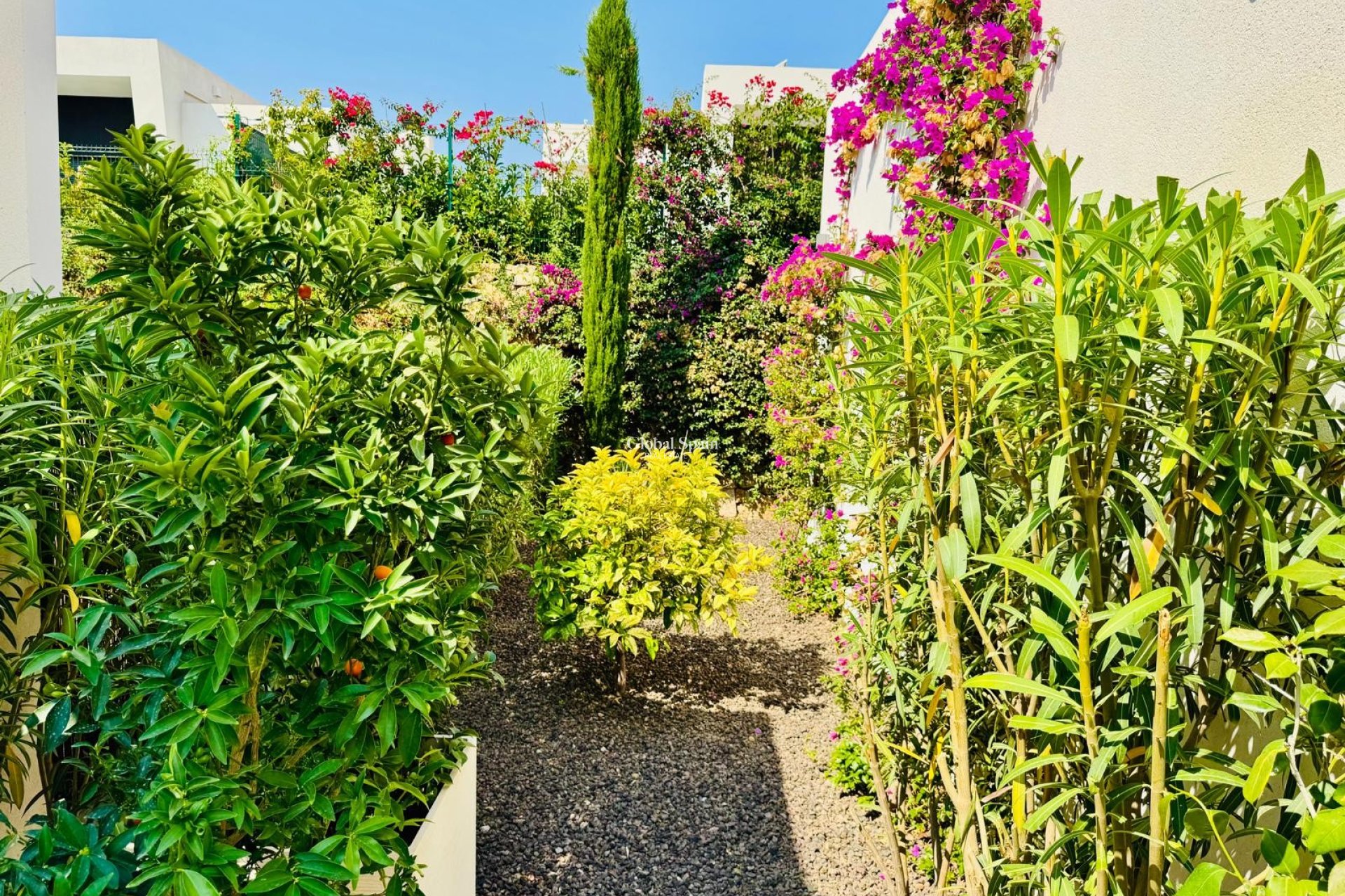 Venta - VILLA -
ALGORFA - La Finca Golf