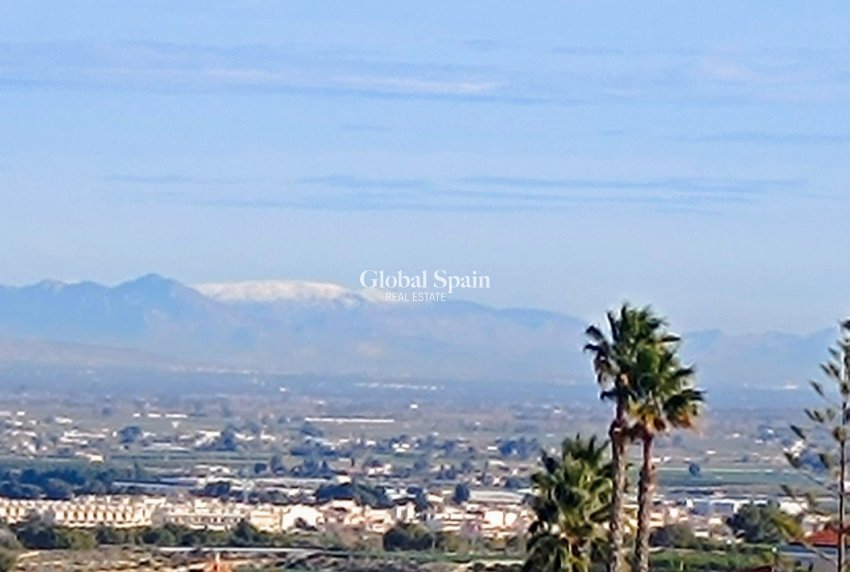 Venta - Villa -
ALGORFA - Lomas de Juliana