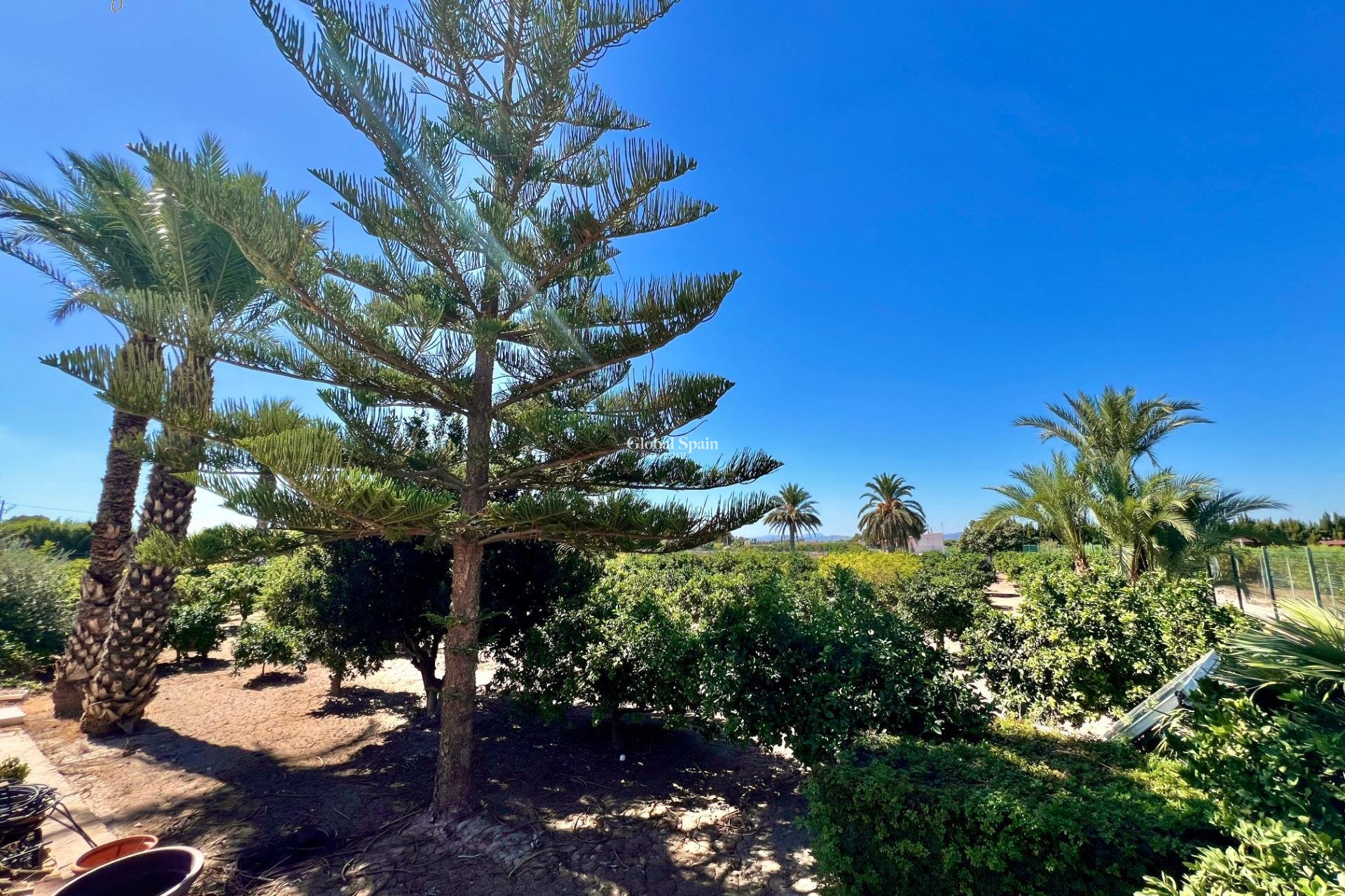 Venta - VILLA -
ALMORADÍ - Comunidad Valenciana