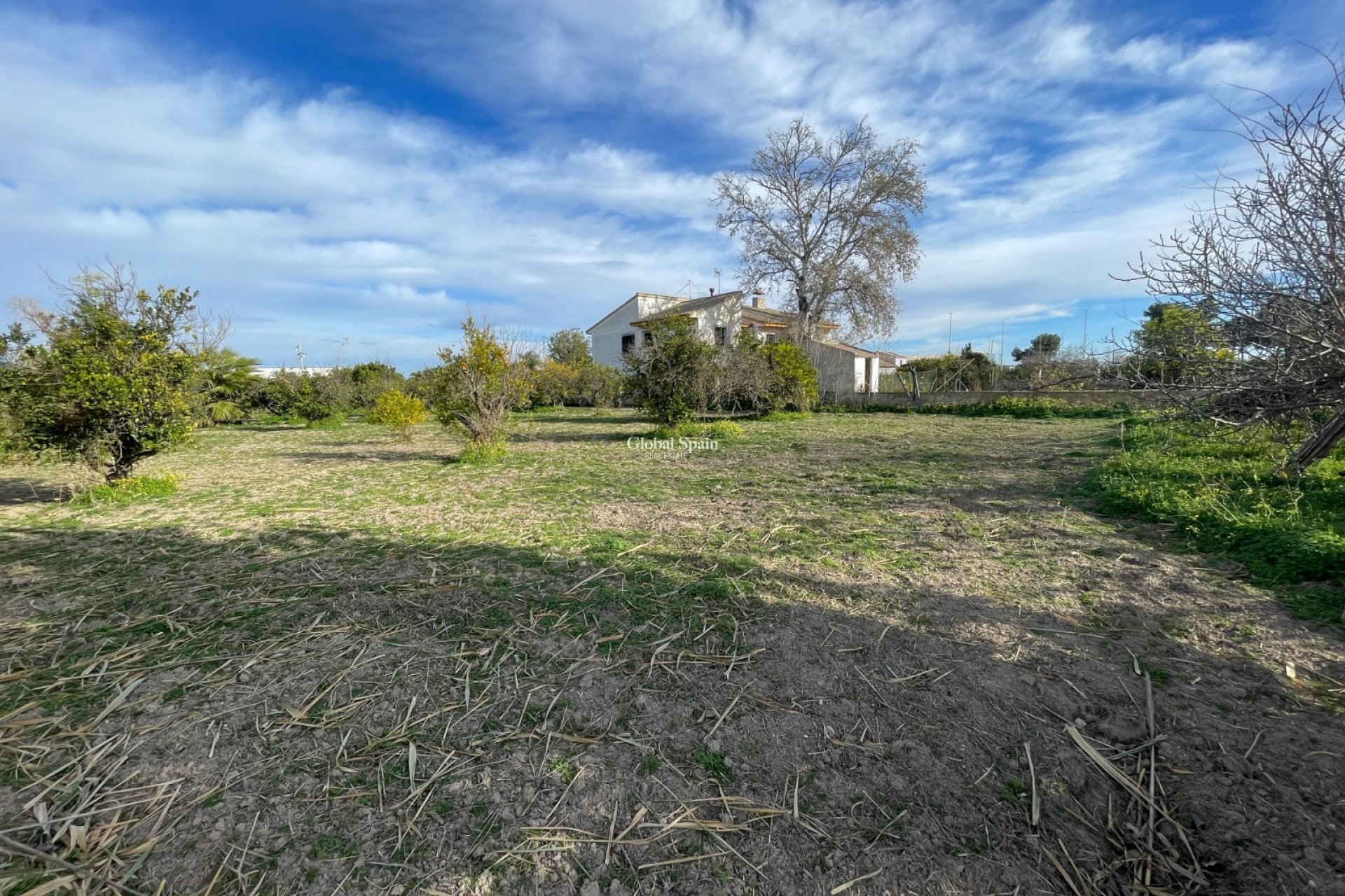 Venta - VILLA -
BENEJÚZAR - Inland