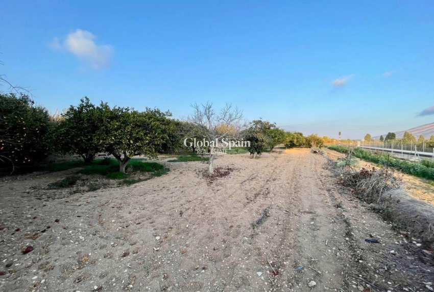 Venta - VILLA -
BENIDORM - Salto Del Agua