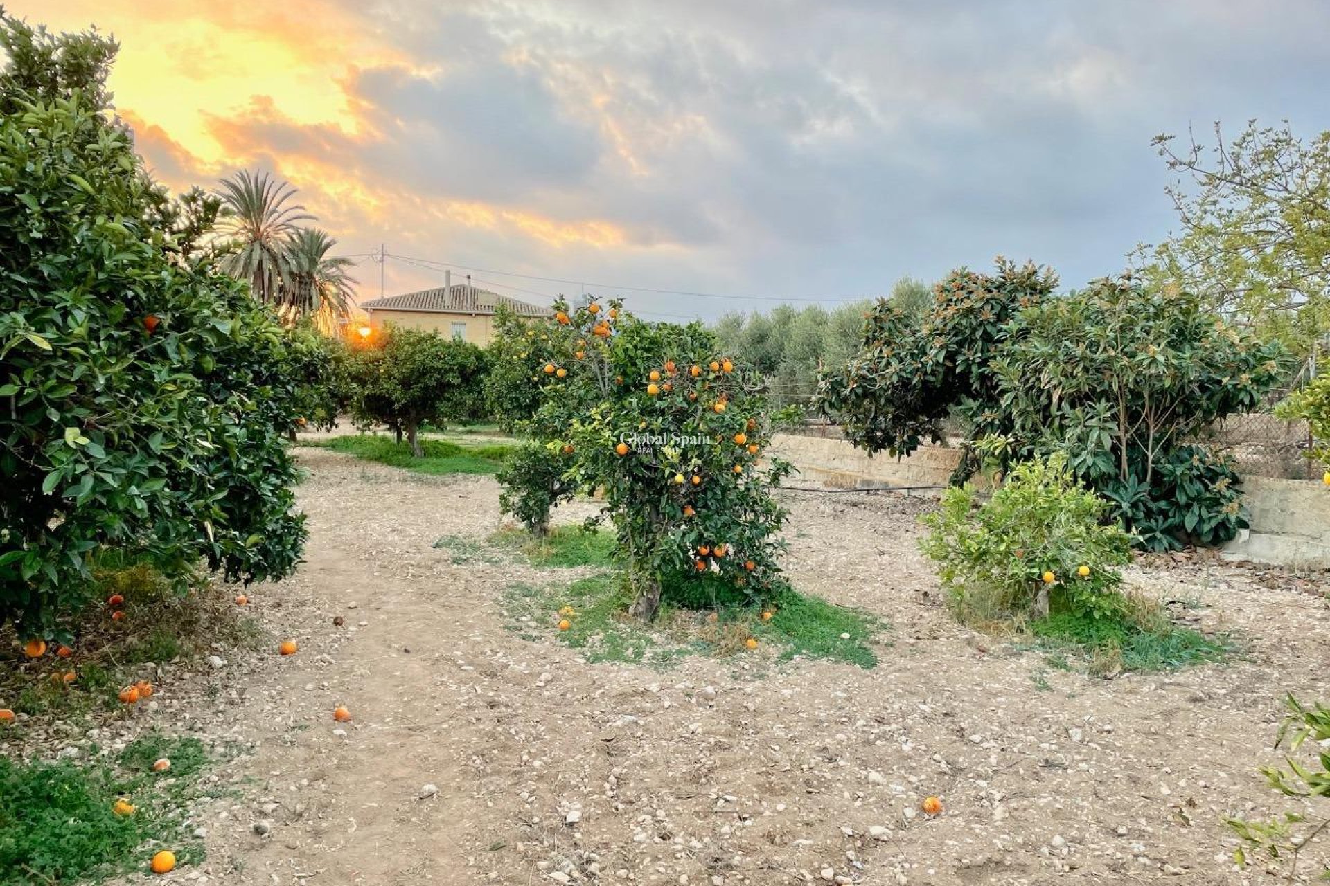 Venta - VILLA -
BENIDORM - Salto Del Agua