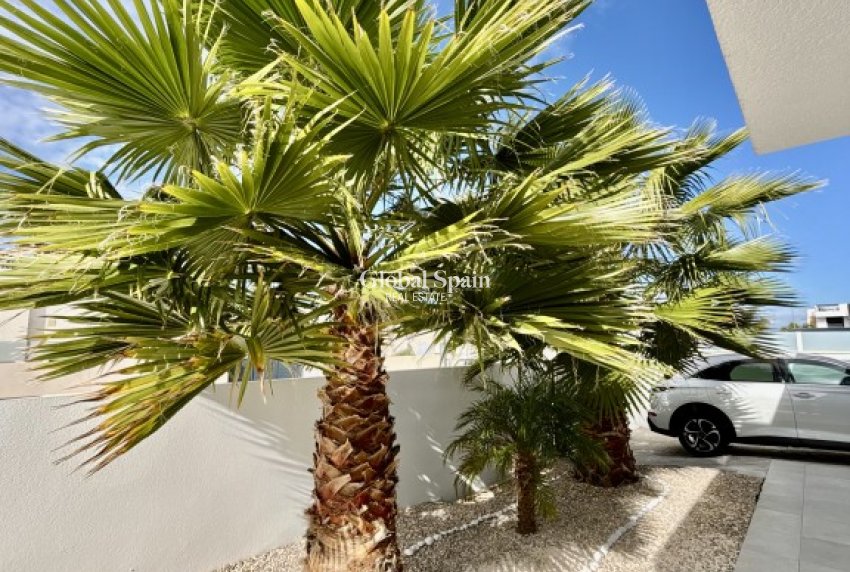 Venta - VILLA -
BENIJÓFAR - Costa Blanca