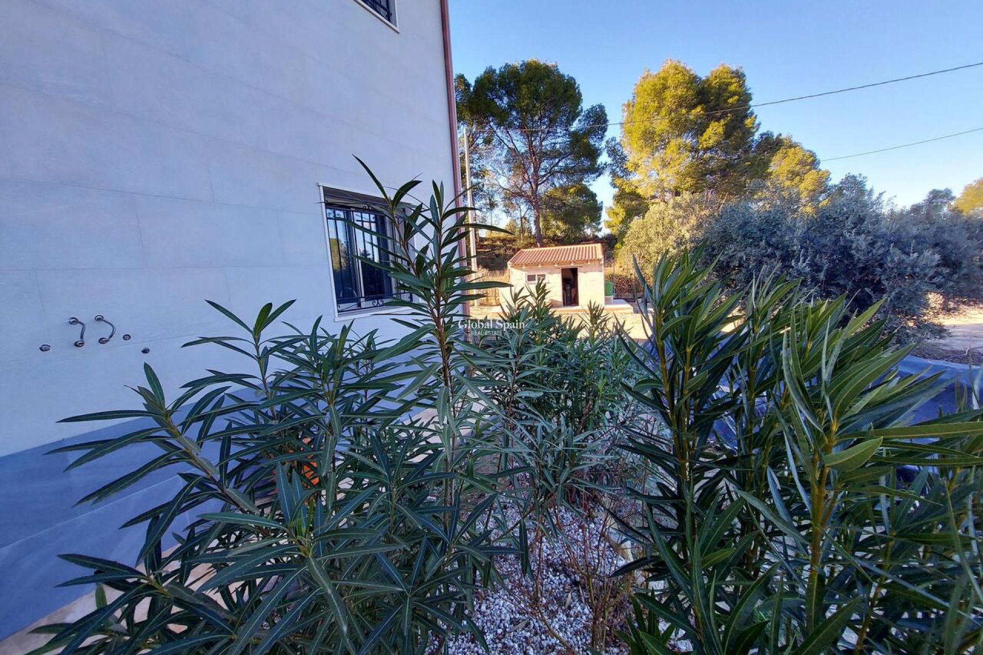 Venta - VILLA -
CALASPARRA - Inland