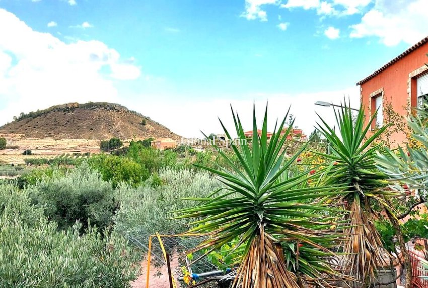 Venta - VILLA -
CALASPARRA - Inland