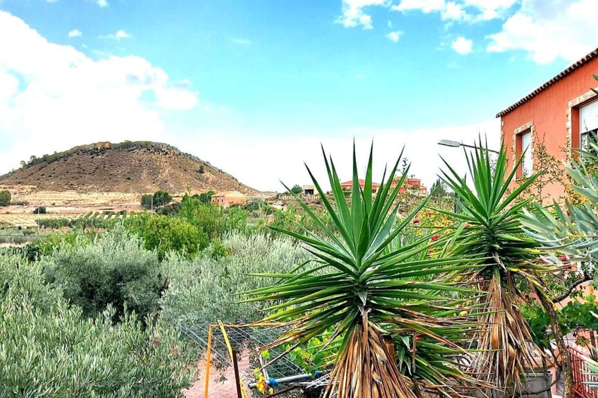 Venta - VILLA -
CALASPARRA - Inland