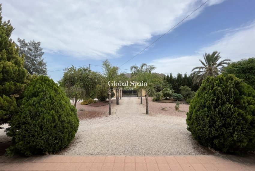 Venta - VILLA -
CALLOSA DEL SEGURA