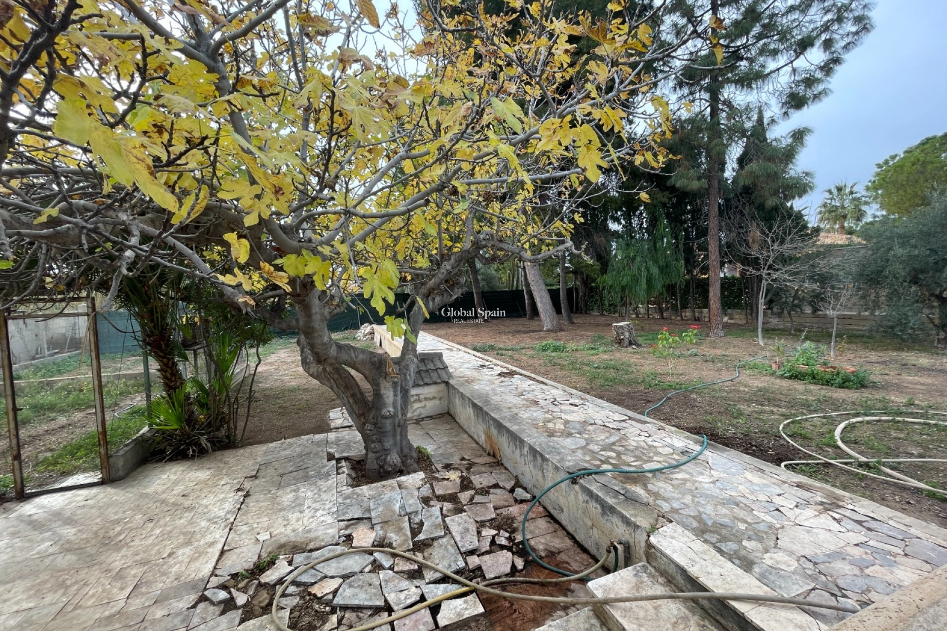 Venta - VILLA -
ELCHE - Costa Blanca