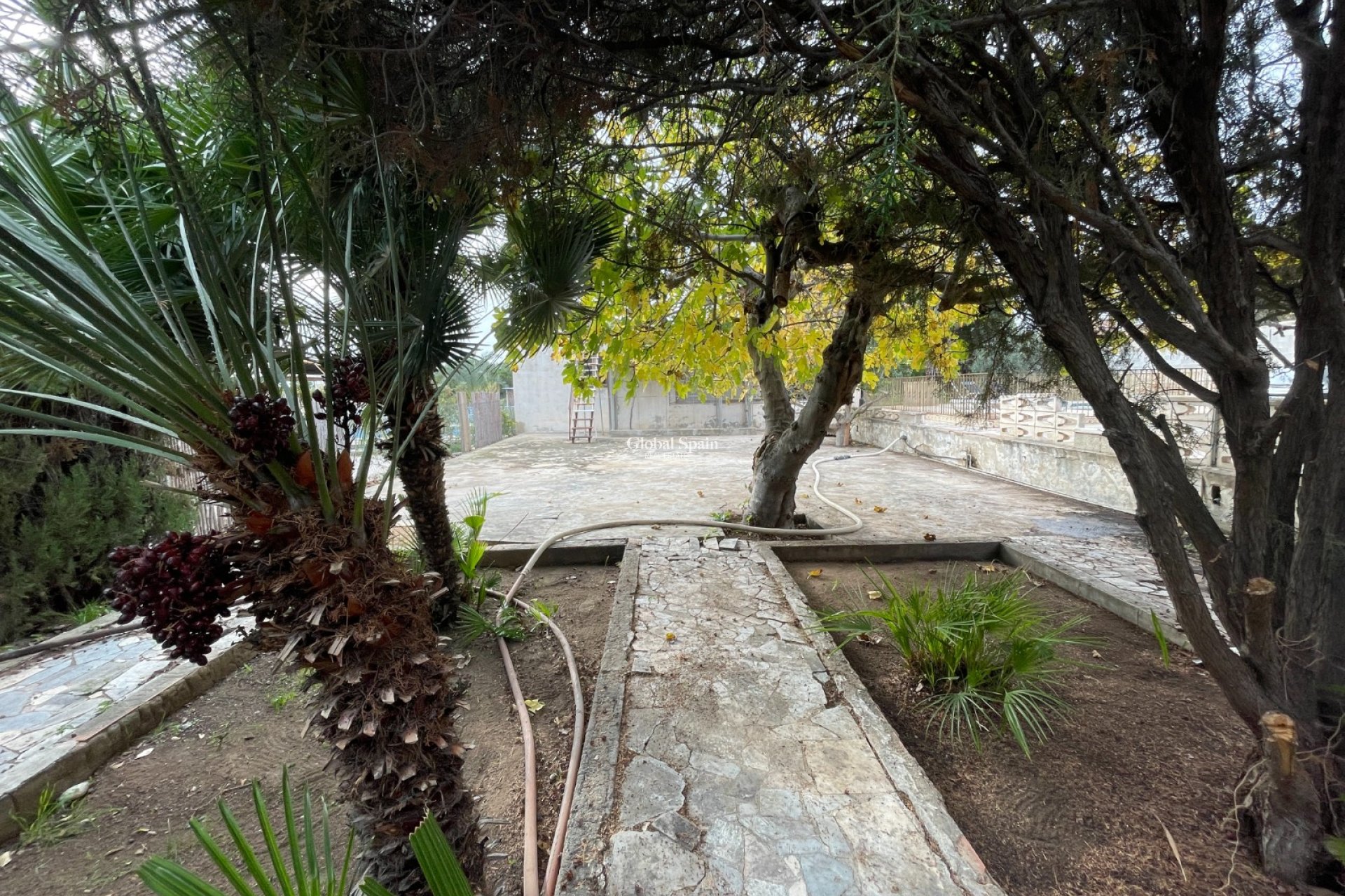 Venta - VILLA -
ELCHE - Costa Blanca