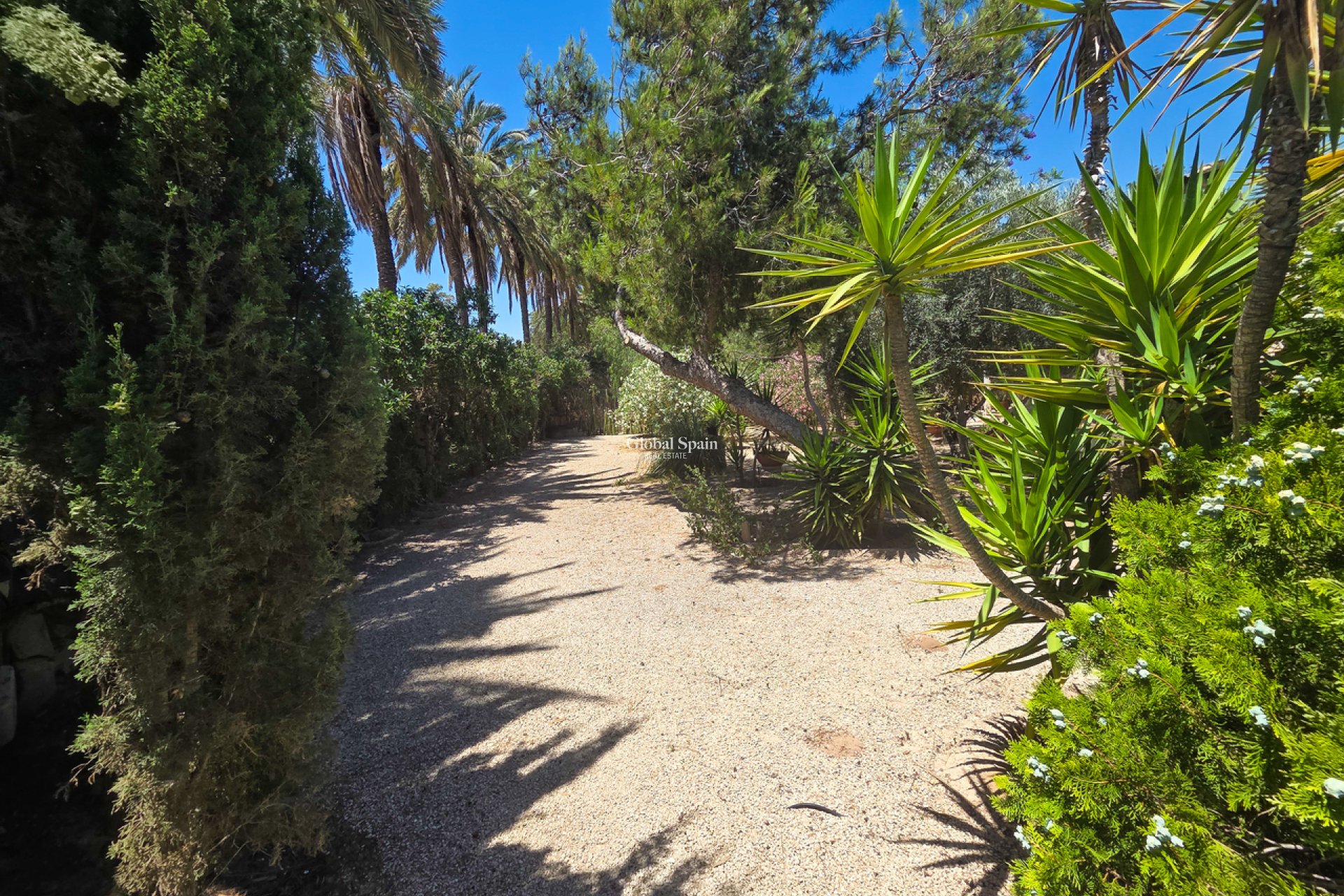 Venta - VILLA -
ELCHE - Costa Blanca