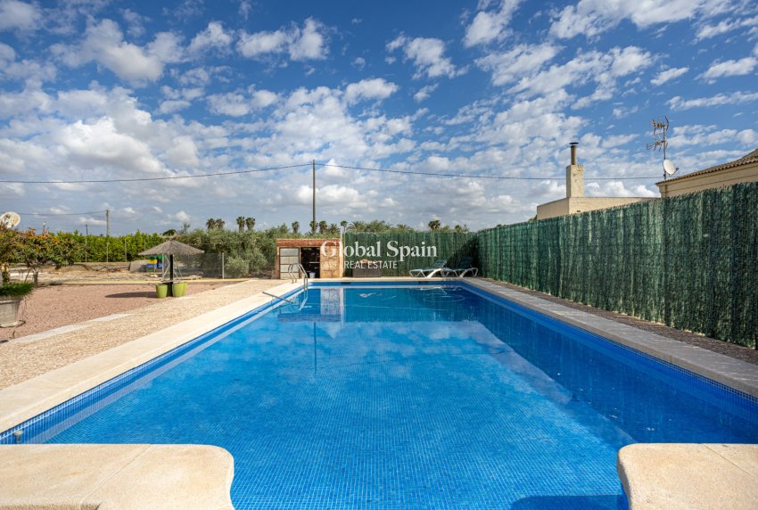 Venta - VILLA -
ELCHE - Costa Blanca