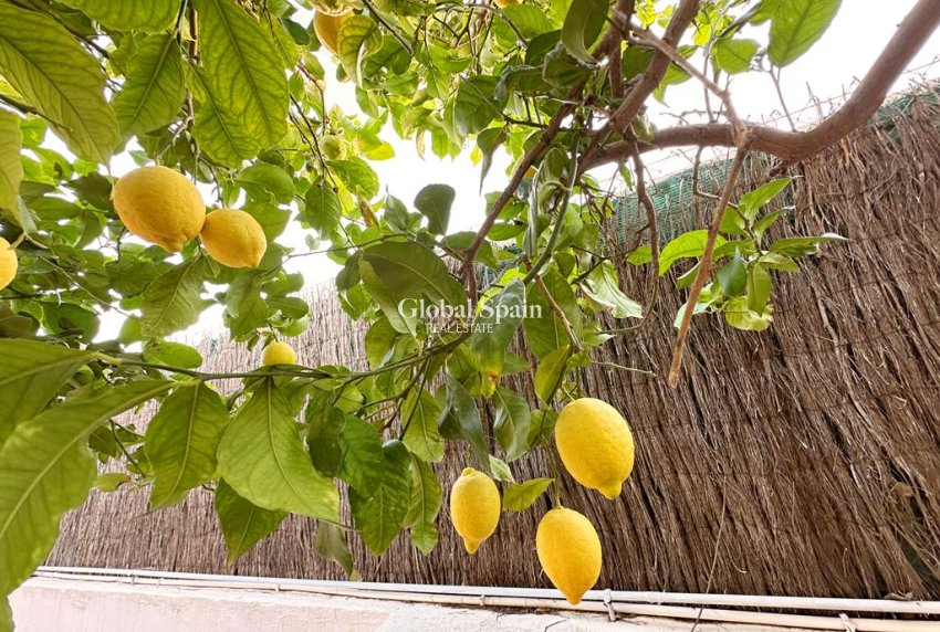 Venta - VILLA -
GEA Y TRUYOLS - Inland