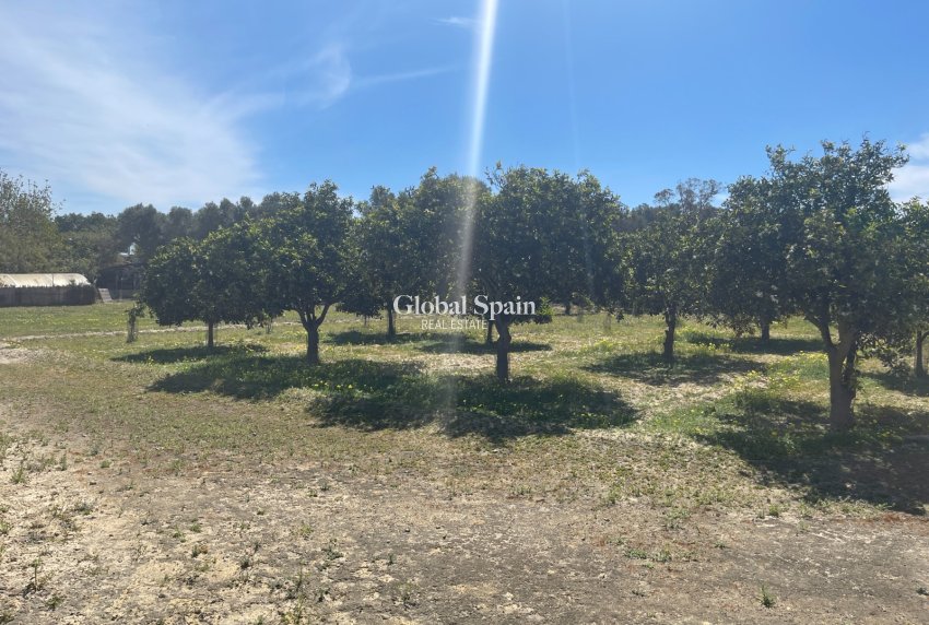 Venta - VILLA -
GUARDAMAR DEL SEGURA - Costa Blanca